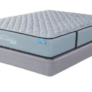 Spring Air Back Supporter Royale in Firm Mattress
