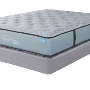 Spring Air Back Supporter Royale in Plush Mattress