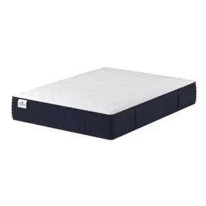 Kingsdown Passions Plush Mattress