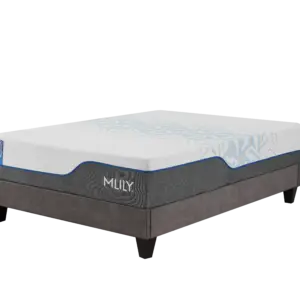 MLILY ChiroPro Firm