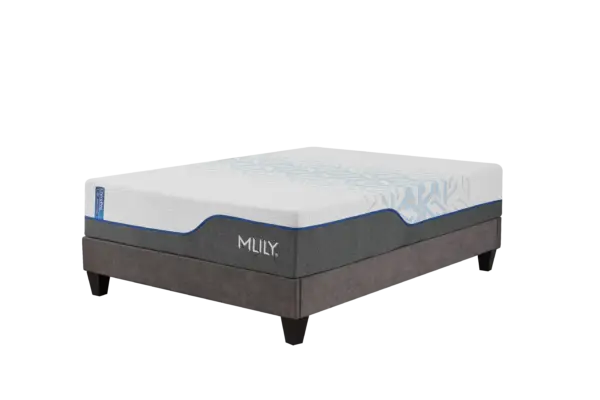 MLILY ChiroPro Firm