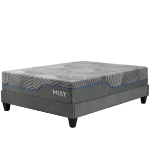 MLILY Midnight 3.0