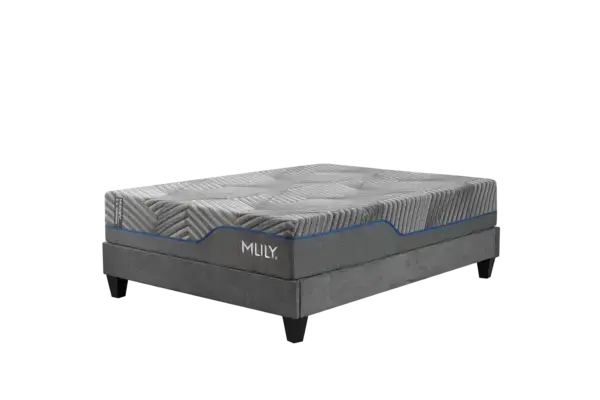 MLILY Midnight 3.0