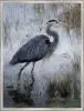LB Expressive Heron